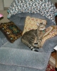pict1705.jpg