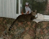 Alpha Bird Watching